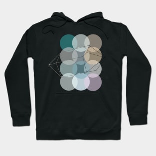 Spheres Hoodie